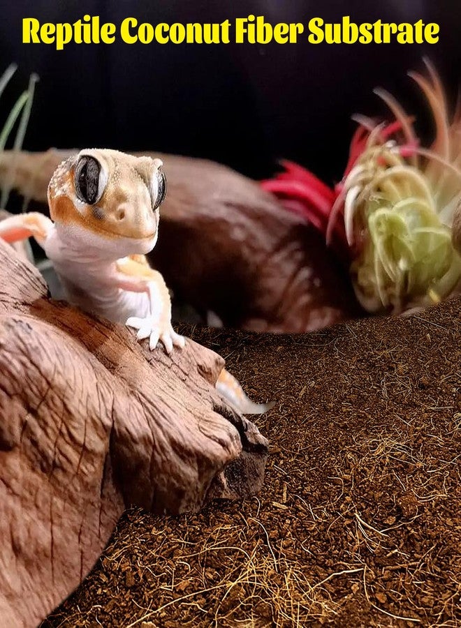 Hamiledyi Reptile Coconut Fiber Substrate Lizards Breathable Coconut Soil Tortoise Habitat Substrate Terrarium Bedding for Snake, Bearded Dragon, Gecko, Horned Frog, Hermit Crab, Tarantulas (1Pack) - Image 2